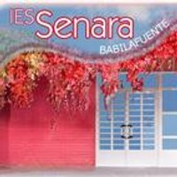 InstitutoSenara (@institutosenara) 's Twitter Profile