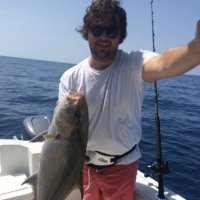 Harald Olavson (@olavsonh) 's Twitter Profile