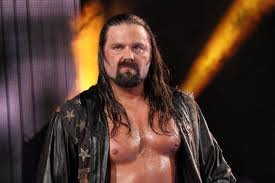 (RP; Not @JamesStormBrand) I drink beer and beat up people for a livin'. Basically you could say that I'm a cowboy livin' the dream. #PledgeToTheRevolution