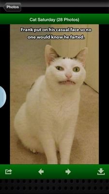 NadineHimmelman's profile picture. .