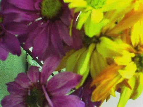 semperfiona's profile picture. Fiona. she/her. Reader, podficcer, crafter.

purveyor of finely crafted audio smut