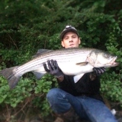 kristiansadler's profile picture. cookery, stripers, hastags...i like trim and bits...crushing linesides, digging clams... @ksadler on instagram