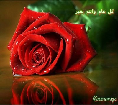 الحمد لله حمدا كثيرا طيبا مباركا فيه يحبه ربه ويرضاه