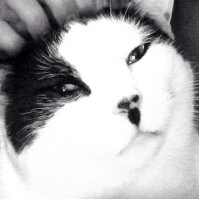 jaxiscool1's profile picture. 