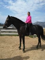 ♥love horse