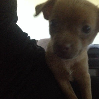 liljason2500's profile picture. 