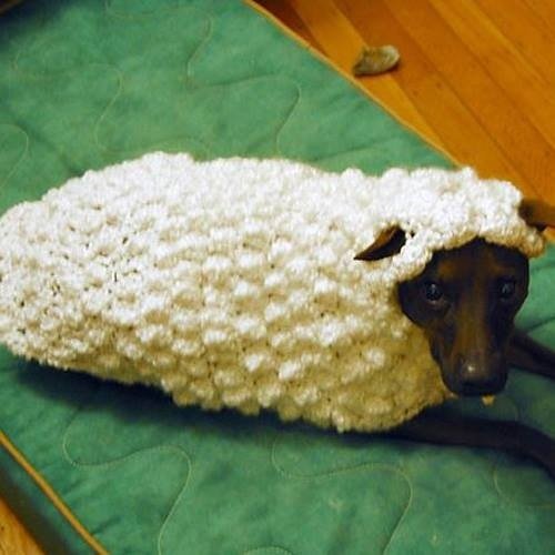 justmoremither's profile picture. 