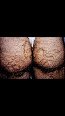 HairyAssNE's profile picture. Hairy