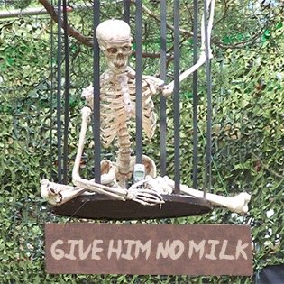 i crave milk