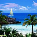 Hammad - @Hammad39hanif - Twitter