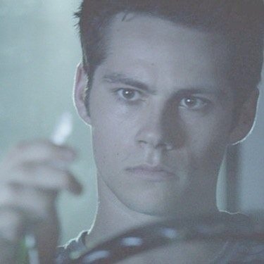 WolfieFollow3's profile picture. Free follow from @mintyobrien, go follow me there if you want :)