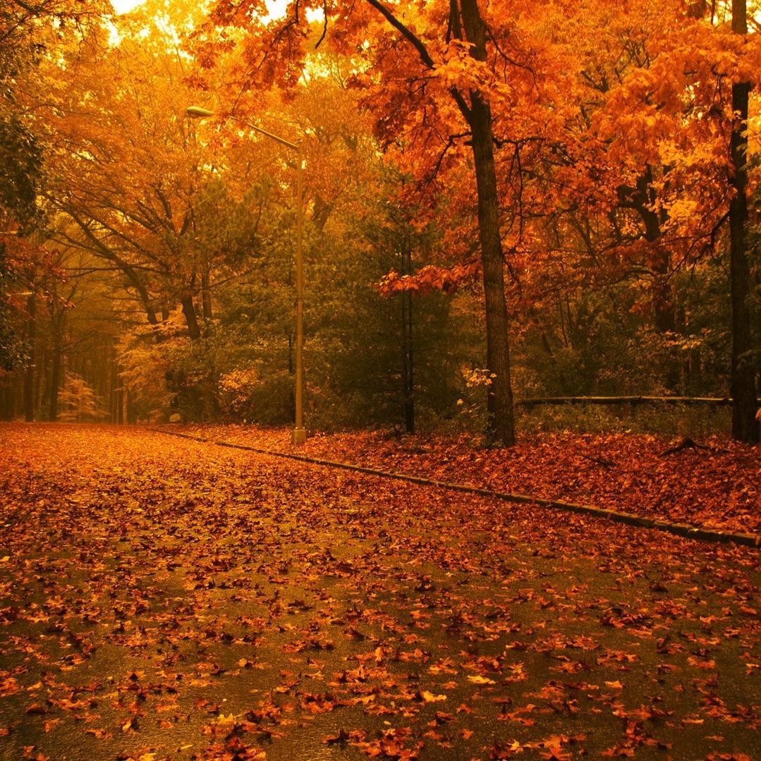 AlDos33ri's profile picture. 