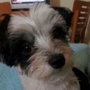 Eva Peral - @evaperol54 - Twitter