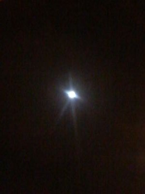 0538439577‏ابحث عن بنية حلال مسيار