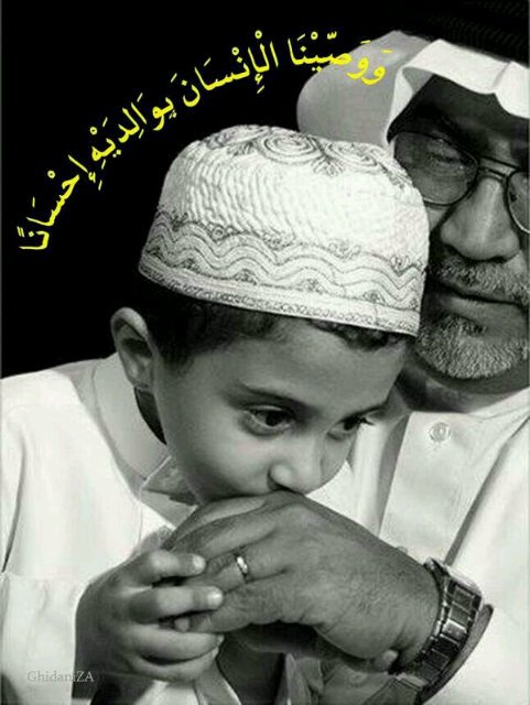 السعودية--الطائف
