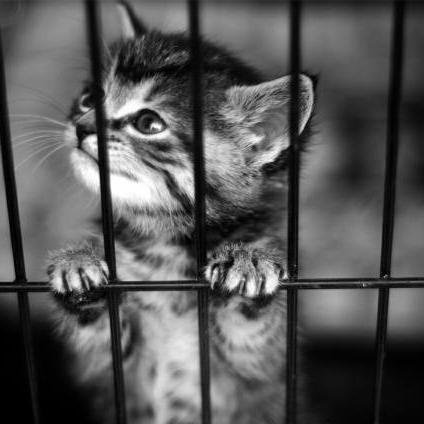 dreamer :D :D :D