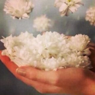 Mm50109502's profile picture. http://t.co/4BSXZKDnki