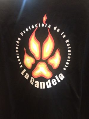 Xabiro1972Ro's profile picture. Fortitudine Vincimus