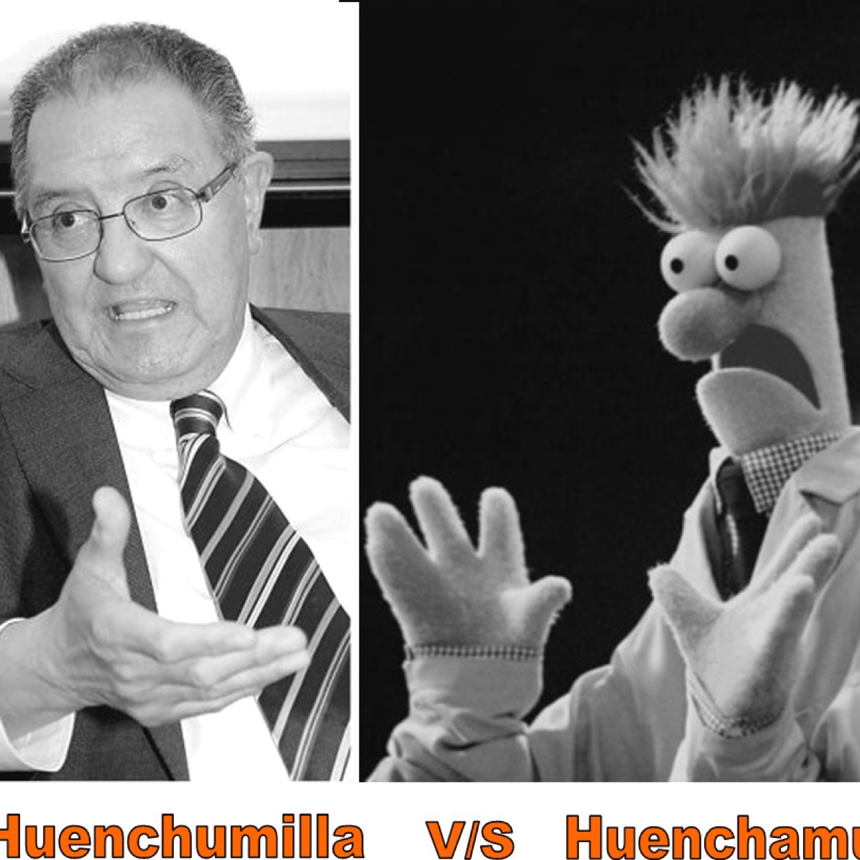 huenchamullo's profile picture. Impertinente de la Región de la Araucanía.