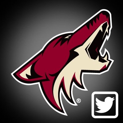 u15yotes's profile picture. Score, stat and schedule updates on the Phoenix Jr. Coyotes u15AAA hockey team.