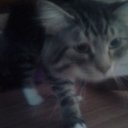 Molly Coffman - @01aa739a7d454b6 - Twitter