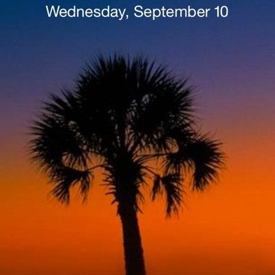 tdcartledge's profile picture. 