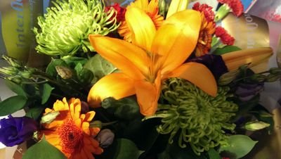 louseface's profile picture. 