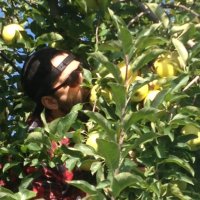 Brad Daniels (@chefbdaniels) 's Twitter Profile