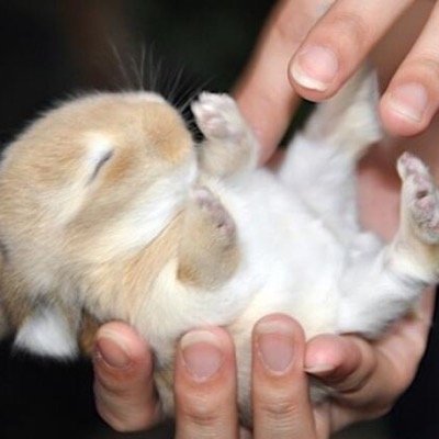 _tototokki_'s profile picture. 