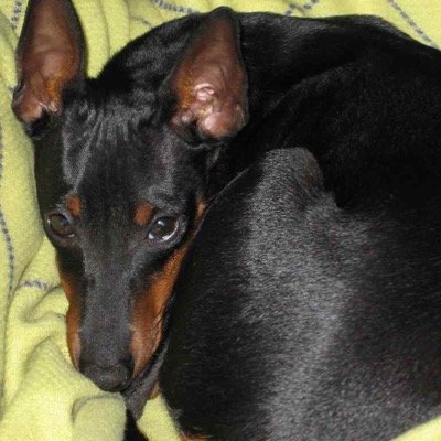 CT__BCM's profile picture. Unternehmensberatung - Coaching - Mediation #Neurosensitivität #Hochsensitivität