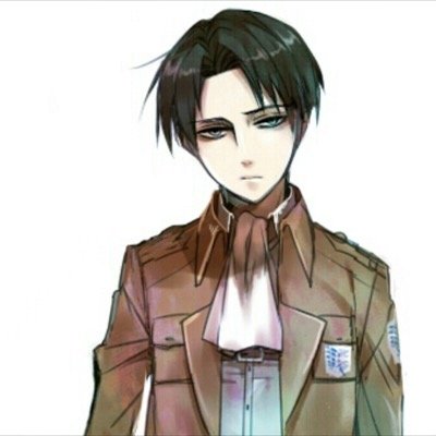 Levi's my name, the captain of my squad, don't get my profile drity i just cleaned, stay away from me aswell