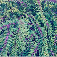 Mindful Millennials (@mindful20s) 's Twitter Profile