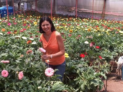 Geóloga UDO Bolívar, Doctora en Geología Universidad de Oviedo España, Profa Titular Jubilada y Ex-Directora de la Esc Cs Tierra UDO Bolívar. Profa EPN Quito