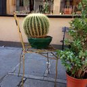 Emma Trotter - @EmmaTrotter2 - Twitter