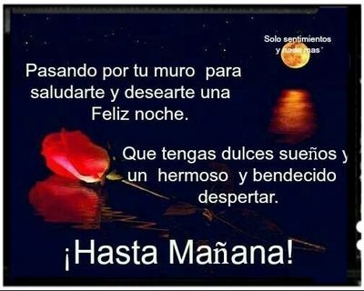 HerciliaMore's profile picture. 