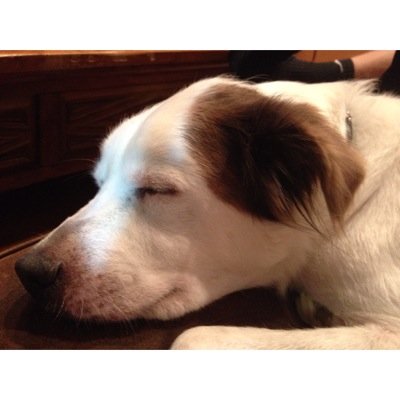 kenagalegs's profile picture. 