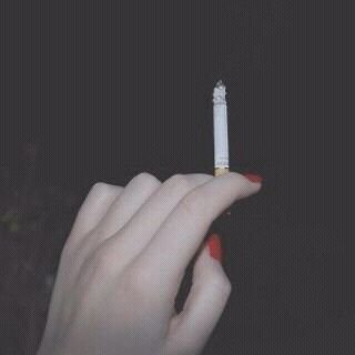 مافيش باايو *-*