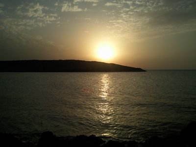 Omar741Omar's profile picture. 