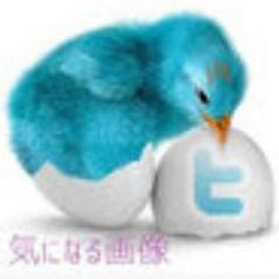 気になる画像 Kininaru Ga Twitter
