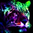 Gavin Roy - @gavinroy15 - Twitter