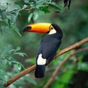 Randy Bown - @randy_bown - Twitter