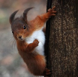 zianedhou's profile picture. 