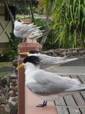 jmoldrich's profile picture. 