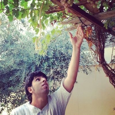 bayyyf's profile picture. 