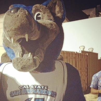 The Official Mascot of California State University San Bernardino. The Best Mascot in the Nation #CoyoteSpirit #BleedBlue #BruiseCrew.