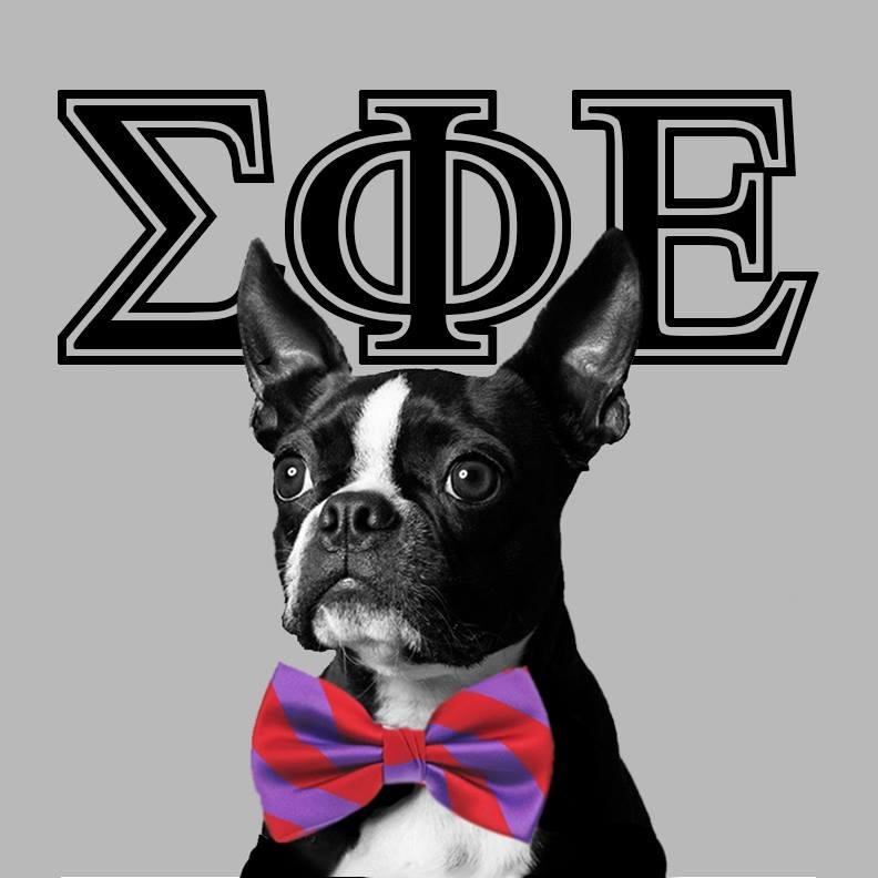 BUSigEp's profile picture. The Massachusetts Gamma Chapter of the Sigma Phi Epsilon Fraternity