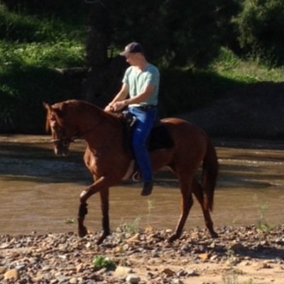 RobeyLouis's profile picture. Stallion Manager at Kitchwin Hills