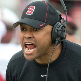 NotDavidShaw's profile picture. 