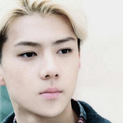 ohsehun_exo_RP's profile picture. Hello, I'm Sehun and I have a nice ass. Also I'm a better dancer than Kai.