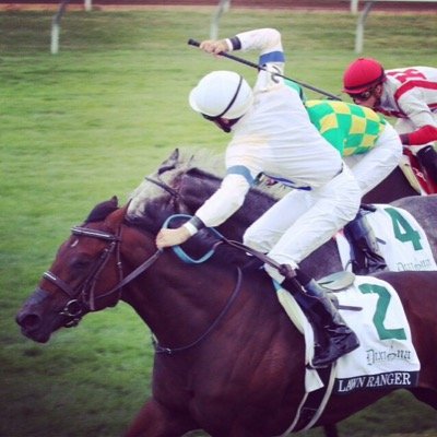 Thoroughbred owner and breeder.  Sustainable energy and biochar producer.